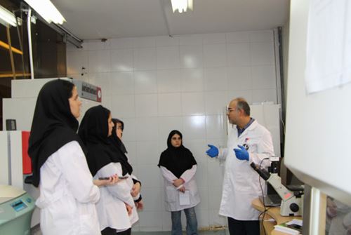 برگزاری کارگاه کشت سلولی، سلولهای بنیادی و تمایز در پایگاه تحقیقاتی آمل